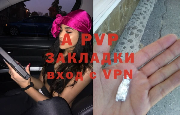 стаф Ачинск